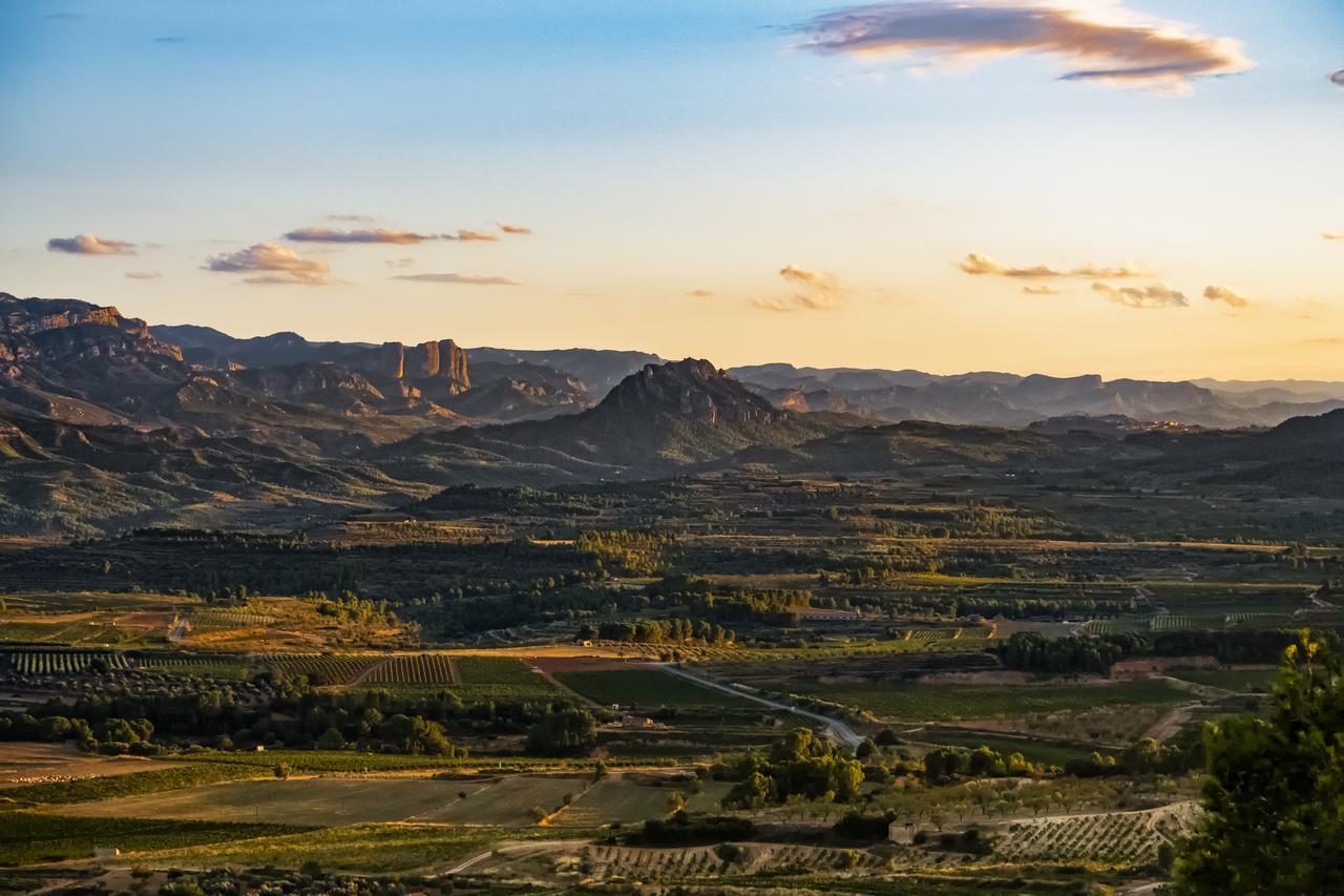 Апартаменты Enoturismo Celler Pinol Batea Экстерьер фото